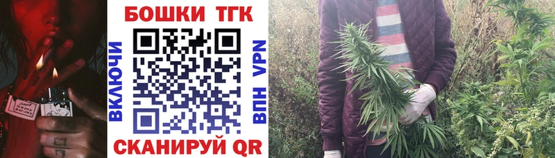 Магазины продажи наркотиков Санкт-Петербург Псилоцибиновые грибы  Меф мяу мяу  А ПВП 