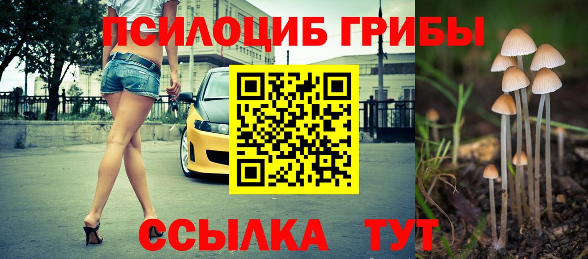 Псилоцибиновые грибы мухоморы Санкт-Петербург