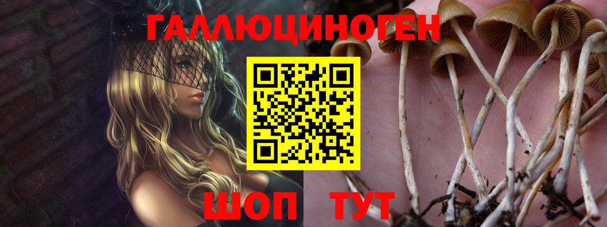 Санкт-Петербург  Галлюциногенные грибы MAGIC MUSHROOMS  Вход с VPN 